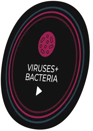 NIKKI Viruses + Bacteria