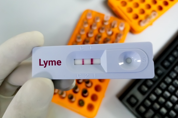 lyme disease diagnosis by rapid testing-device