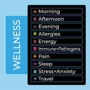 10 Wellness Programs 