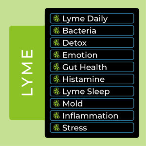 10 Lyme Programs
