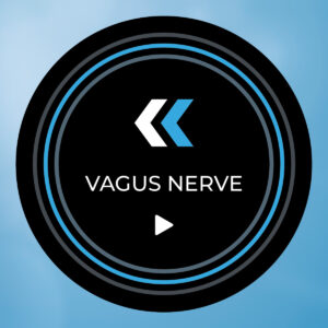 Vagus Nerve Wellness Program