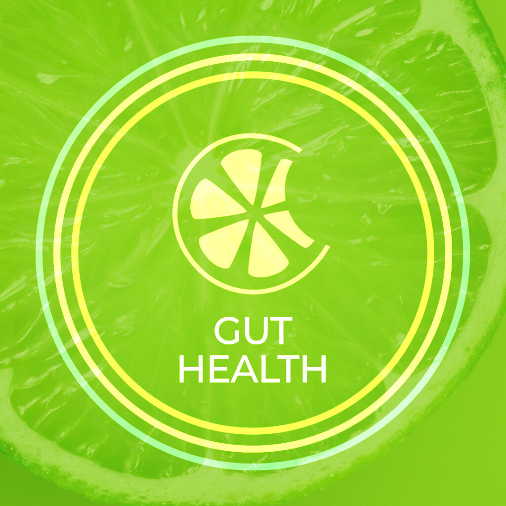 Gut Health