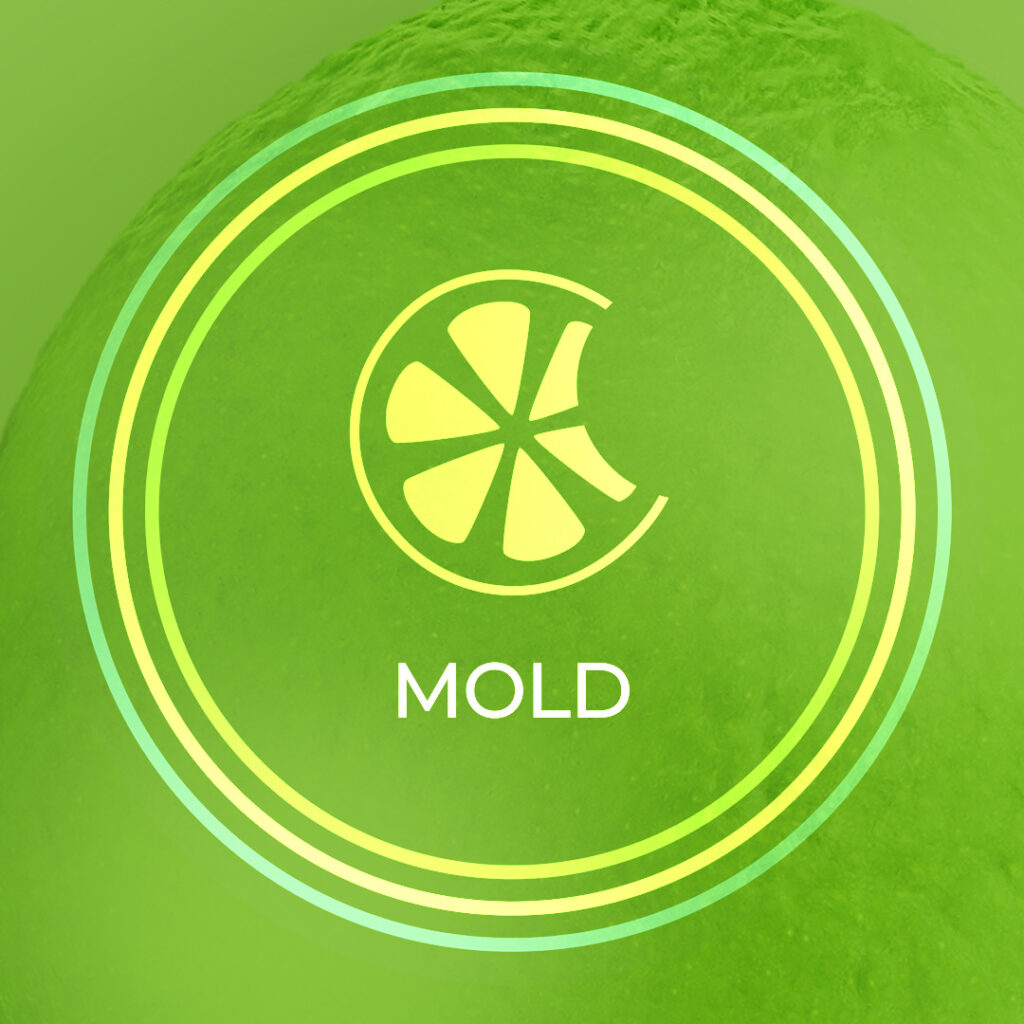 Mold