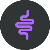 DIGESTION + NAUSEA